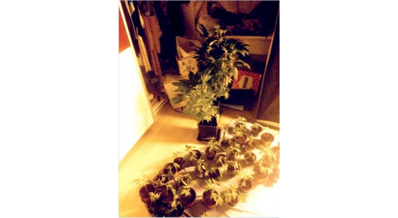 Les saisies de drogue estivales sont impressionnantes. DR 