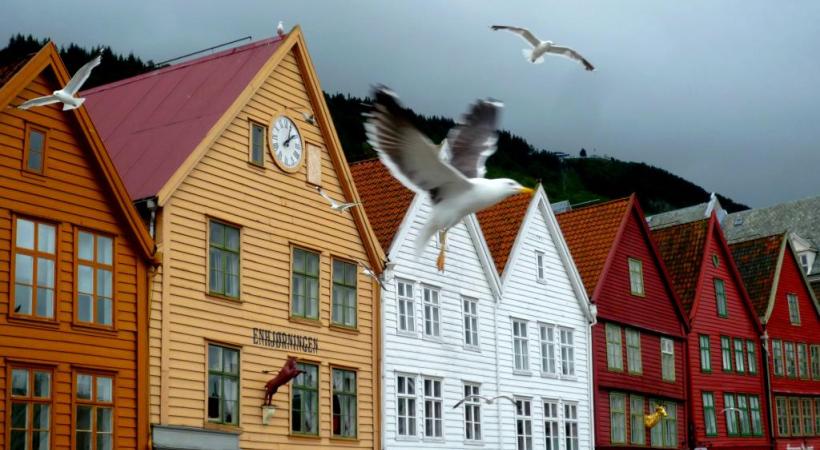 La lumière du Nord enchante les photographes. Les paysages traversés invitent à la contemplation. Chaque étape (ici Alesund) est prétexte à la découverte. L’étrange expérience du soleil de minuit. 