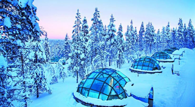 Les fameux igloos de verre de Kakslauttanen. KAKSLAUTTANEN ARCTIC RESORT Une expérience unique: l’observation des aurores boréales. DR Les huskies, incontournables compagnons d’aventure. DR Légende Les rennes sont parfaitement adaptés à la froidure hivernale. 