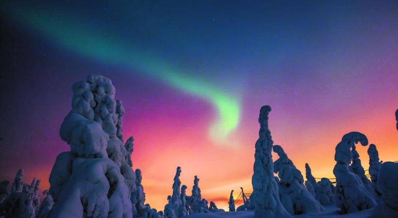 Les fameux igloos de verre de Kakslauttanen. KAKSLAUTTANEN ARCTIC RESORT Une expérience unique: l’observation des aurores boréales. DR Les huskies, incontournables compagnons d’aventure. DR Légende Les rennes sont parfaitement adaptés à la froidure hivernale. 