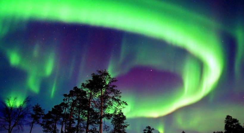 Les fameux igloos de verre de Kakslauttanen. KAKSLAUTTANEN ARCTIC RESORT Une expérience unique: l’observation des aurores boréales. DR Les huskies, incontournables compagnons d’aventure. DR Légende Les rennes sont parfaitement adaptés à la froidure hivernale. 