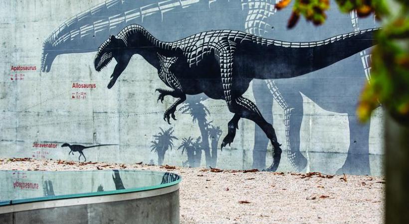 Attention, vous allez avoir peur! DR 