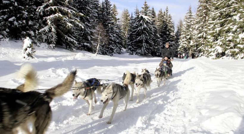 Magnifique panorama depuis le télésiège de l’Eterholle. L’arrivée des Rois Mages. Chiens de traîneau dans la plaine de La Muraz. Cadre grandiose pour le snowpark. 