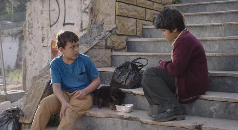 Une scène du film «Köpek» de la cinéaste Esen Isik,  consacrée cette année au Prix du cinéma suisse. DR 