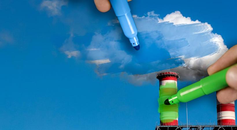 L’obsession des Verts à se focaliser sur l’urgence climatique pourrait finir par leur coûter cher. 