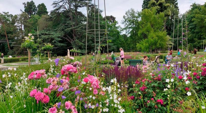 Désormais, les rosiers côtoient de nombreuses autres variétés florales. TR