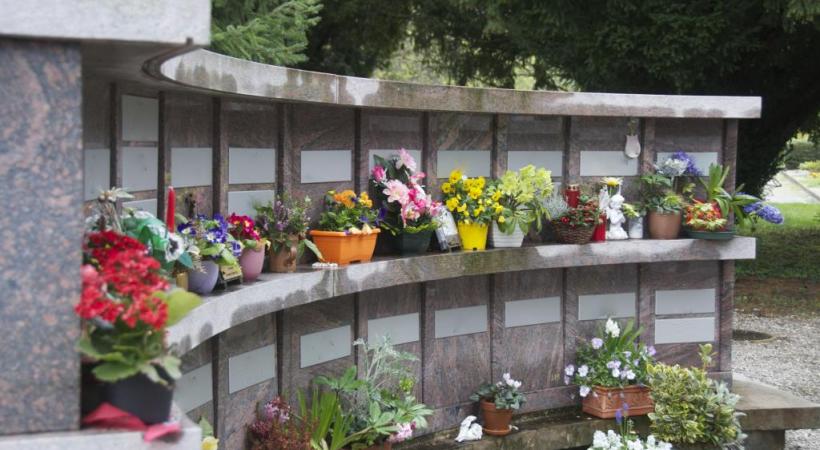 Plaques commémoratives, fleurs et autres arrangements disparaissent ou sont déplacés d’une urne, voire d’une tombe à l’autre. STéPHANE CHOLLET 