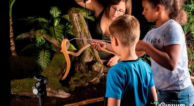 Les jeunes apprennent, ici avec Marion Botelli, à manipuler les espèces et à respecter l’environnement. YANNICK WILLENER