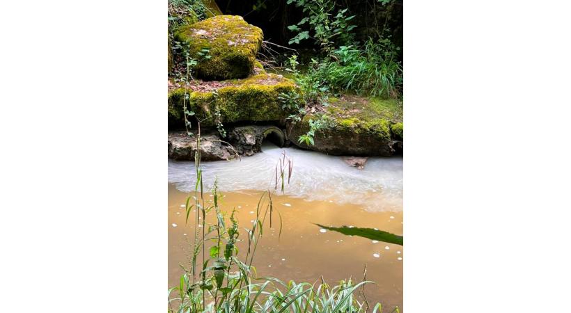 L’eau de la Seymaz a subitement changé  de couleur. VL