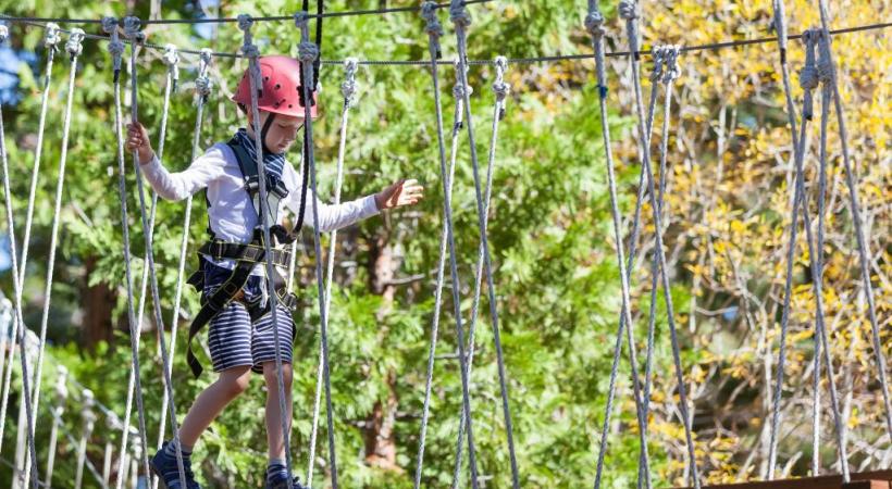 Le Bois-de-la-Bâtie aura-t-il un jour son acccrobranche? ISTOCK/NOBLIGE 