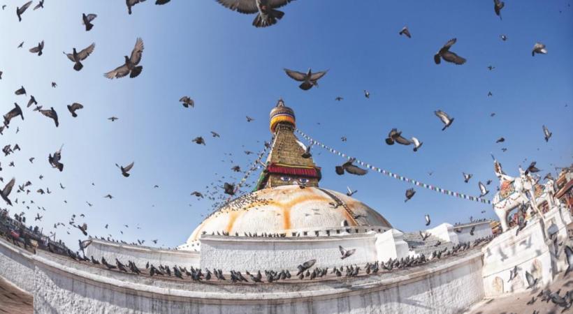Katmandou, une cité qui renaît. 