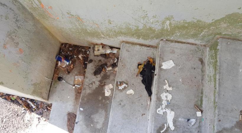 Aux Pâquis, l’escalier qui conduit les écoliers jusqu’aux cuisines scolaires est insalubre… DR 