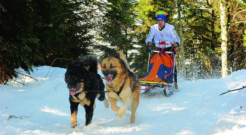 Oyonnax, son église Saint-Léger, son arc monumental et... son équipe de rugby. PHOTOMONTAGE Le lac Genin pour la promenade et la baignade. Culture et sports, l’hiver se décline sur tous les tons à Oyonnax. Oyonnax offre l’air le plus pur de la région Rhône-Alpes. Sport d’hiver grandeur nature. Grande scène du Centre culturel Aragon. L’USO (en rouge et noir) porte haut les valeurs sportives d’Oyonnax. 