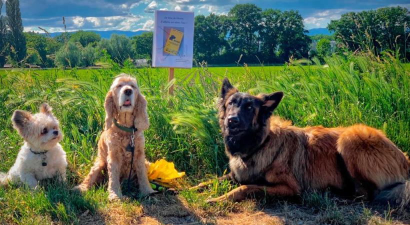 Face aux propriétaires qui ne jettent pas les crottes de leurs chiens, des affiches rappellent désormais les bons gestes.DR