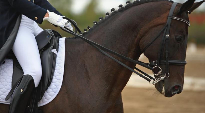  GETTY IMAGES/ MIKHAIL KONDRASHOV