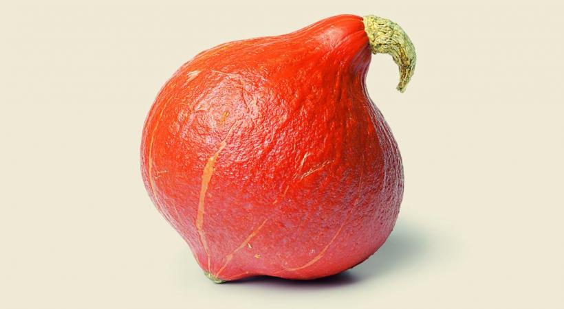  GETTY IMAGES/PICTUREWS PARTNER