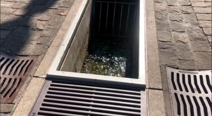 A Berne, les bisses parcourent la cité. DR