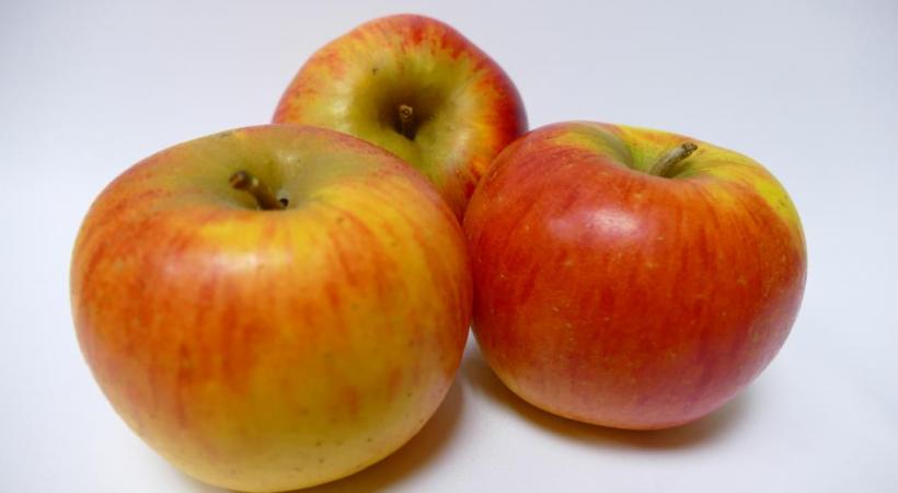 Compote de pommes à la vanille