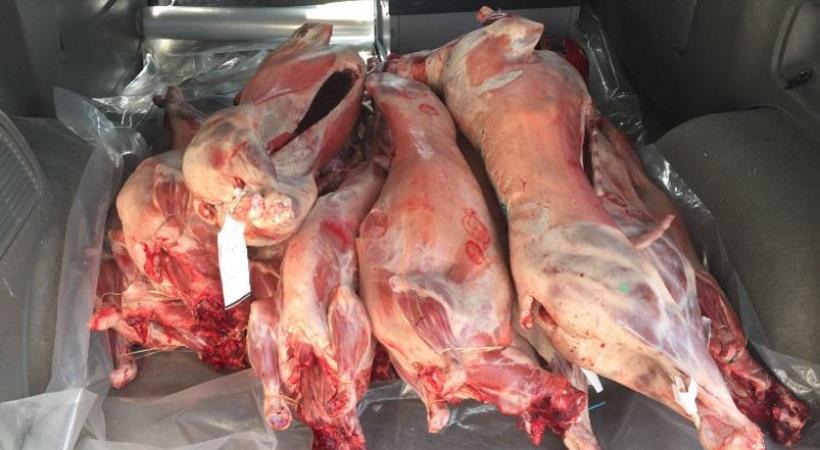 Des centaines de kilos de viande sont importés illégalement aux douanes genevoises! DR 