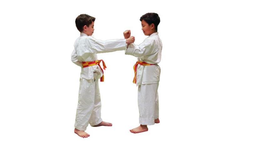 Le Karaté Club de Genève est menacé. DR 