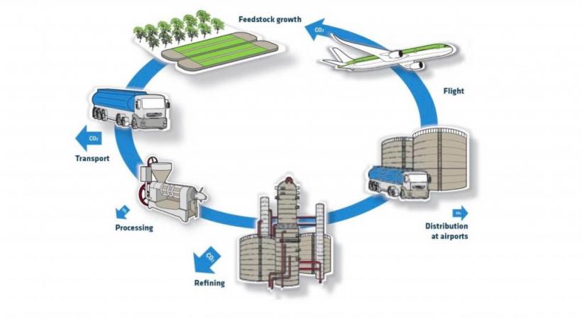Produire le SAF consiste à utiliser de la biomasse, et de n'émettre que le CO2 qu'elle a déjà absorbé, ou presque.