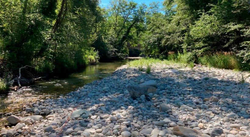 L’Allondon a été mise à ban vu son étiage. DIMITRI JACQUET 