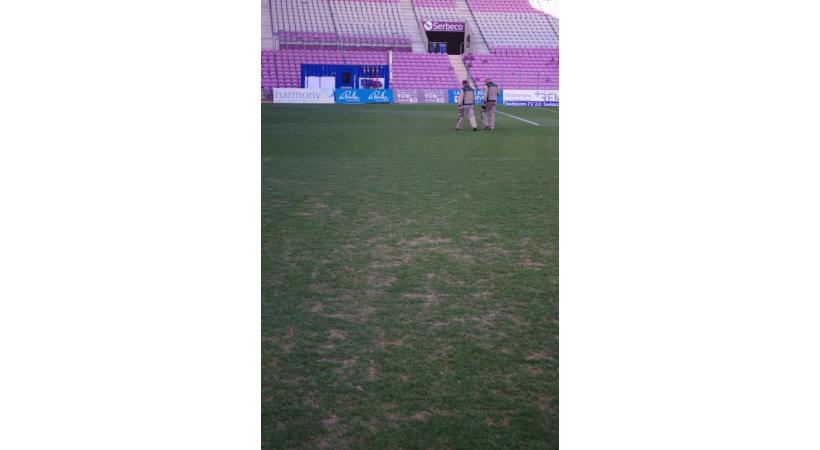 Le gazon posé en été 2016 n’a pas pu être chauffé et a souffert des frimas hivernaux. GIM 