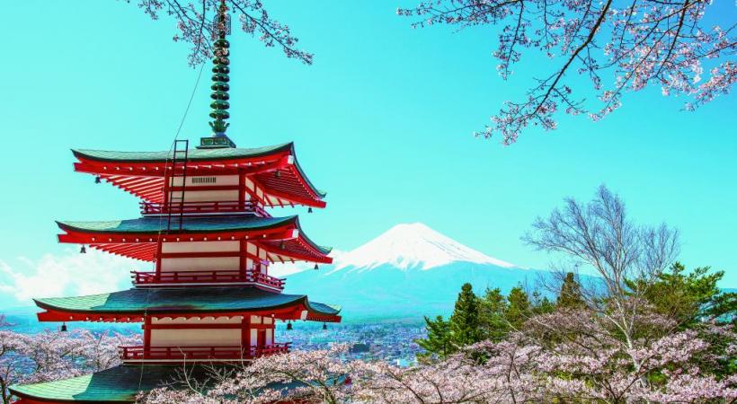 Le fameux mont Fuji en arrière-plan.  