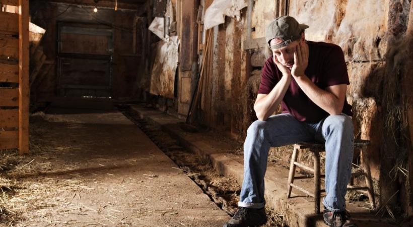 La situation des agriculteurs genevois se détériore au fil des mois. GETTY IMAGES/NICOLASMCCOMBER 