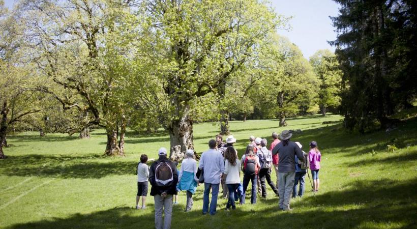 Suivez le guide, à la découverte de la faune et de la flore qui nous entourent! YANN ANDRé 