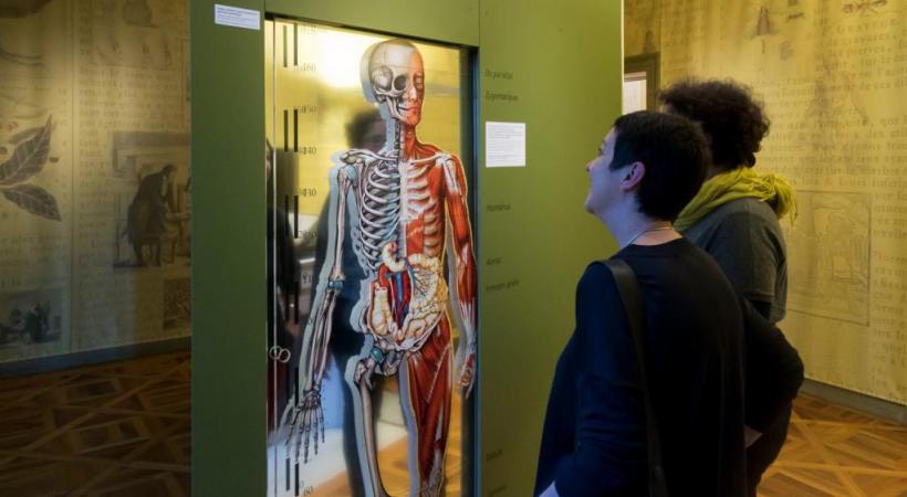 Suivez l’œil et la main des savants. PHILIPPE WAGNEUR/MUSéUM DE GENèVE 