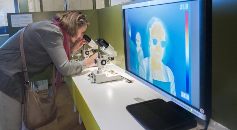 Suivez l’œil et la main des savants. PHILIPPE WAGNEUR/MUSéUM DE GENèVE 