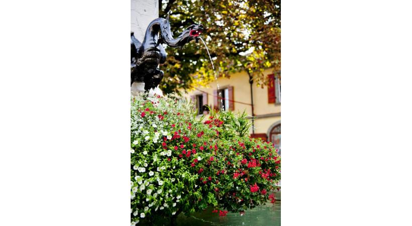  LORIS VON SIEBENTHAL