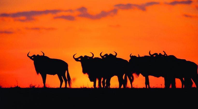 Un coucher de soleil tout droit sorti d’une carte postale.