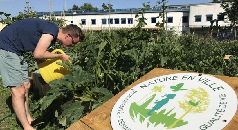 Les plantations collectives et écologiques de Saint-Jean. PHOTOS FRANCIS HALLER 