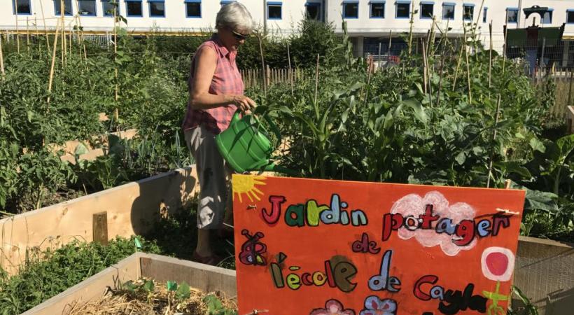 Les plantations collectives et écologiques de Saint-Jean. PHOTOS FRANCIS HALLER 