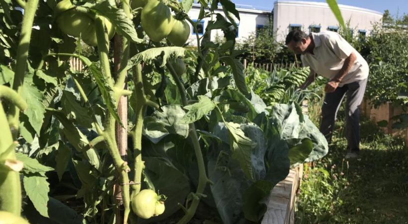 Les plantations collectives et écologiques de Saint-Jean. PHOTOS FRANCIS HALLER 