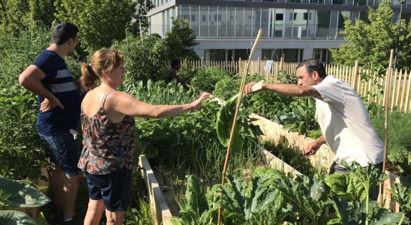 Les plantations collectives et écologiques de Saint-Jean. PHOTOS FRANCIS HALLER 