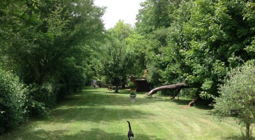 A côté de Champ-Dollon, des arbres, des jardins et des chalets voués à la disparition. F. HALLER 