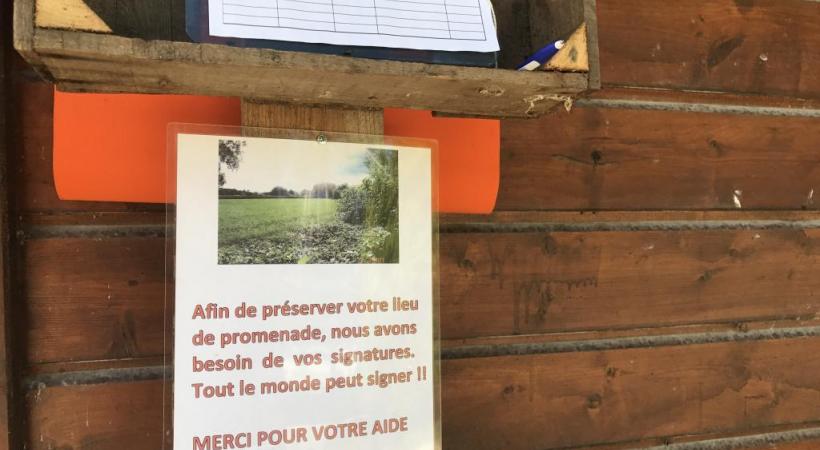 A côté de Champ-Dollon, des arbres, des jardins et des chalets voués à la disparition. F. HALLER 