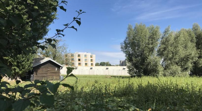 A côté de Champ-Dollon, des arbres, des jardins et des chalets voués à la disparition. F. HALLER 