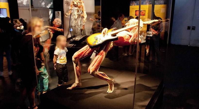 L’exposition a déjà été vue par plus de 44 millions de personnes dans le monde. En médaillon, le magistrat Mauro Poggia. DR PHOTO EN MEDAILLON 