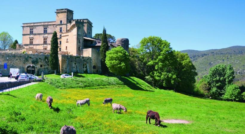 Le château de Lourmarin. A. BOSSU