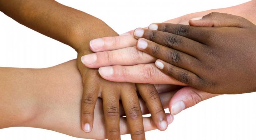 Partager des connaissances et bâtir des ponts. 123RF/KAREL JOSEPH NOPPE BROOKS 