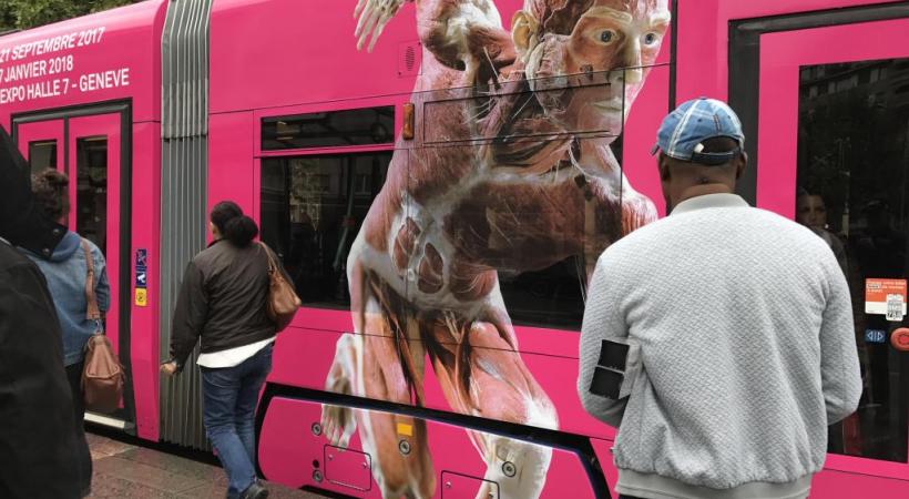 Une exposition controversée. FRANCIS HALLER 