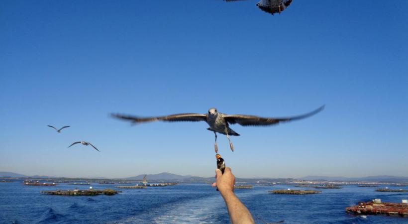 Une région traditionnellement tournée vers la mer. 