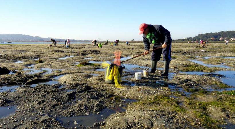 Des plages immenses épargnées par le bétonnage. Une région traditionnellement tournée vers la mer. Effervescence culinaire à la fête des fruits de mer. légende 