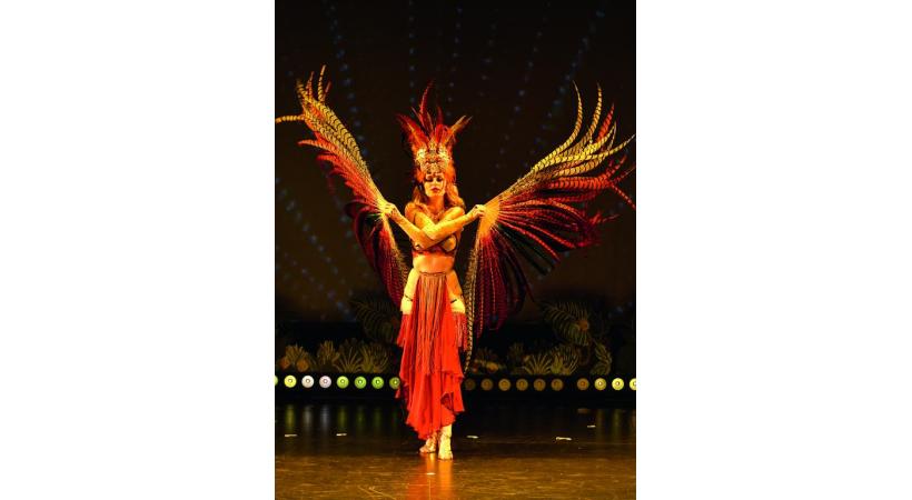 Paillettes, plumes, glamour et humour forment un cocktail explosif! PHILIPPE HOUDEBERT 