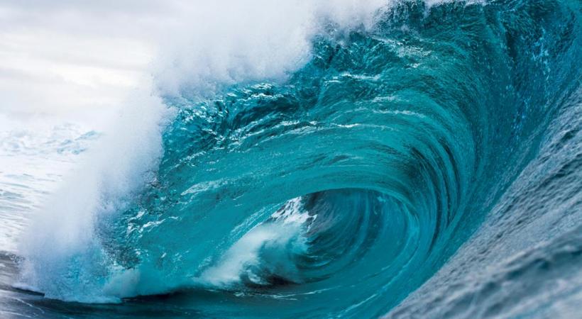 Les enfants sont plus vulnérables que les adultes face aux virus des refroidissements. DR DR 