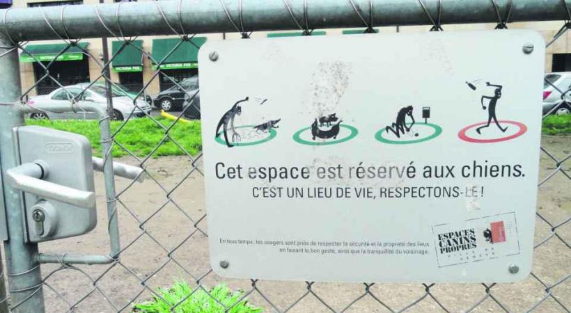 Une crotte laissée sur l’espace public peut valoir une amende de 200 francs. DR 